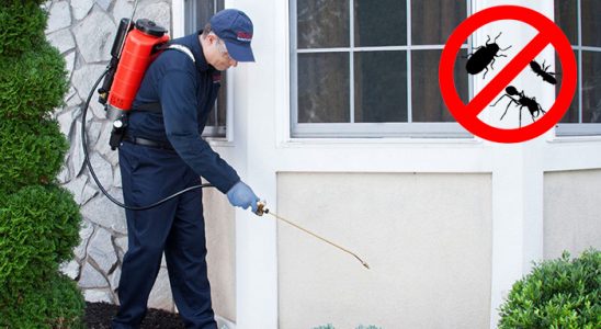 Kadınhanı Kene İlaçlama böcek ilaçlama ve haşere kontrolü — ilaclama-tr.com
